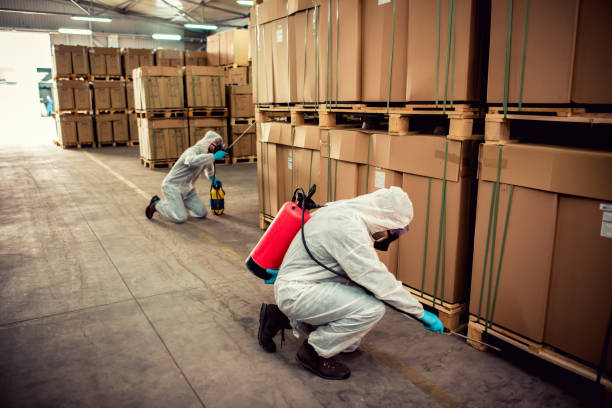 Professional Pest Control in Greene, RI