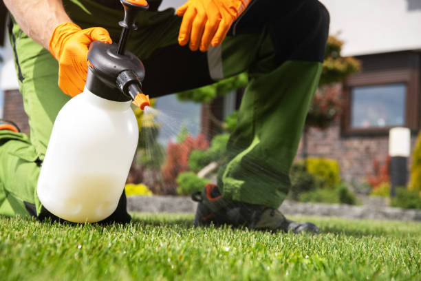 Best Exterminator Services  in Greene, RI