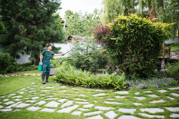 Best Affordable Pest Control Services  in Greene, RI