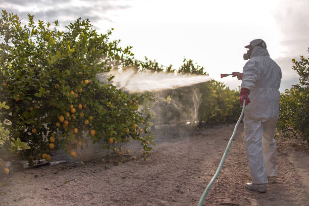 Best Residential Pest Control  in Greene, RI