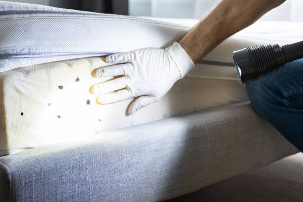 Best Wildlife Control Services  in Greene, RI