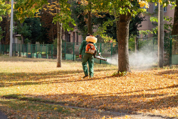 Best Pest Control Treatment  in Greene, RI