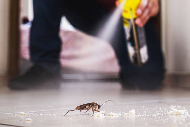 Best Pest Control for Restaurants  in Greene, RI