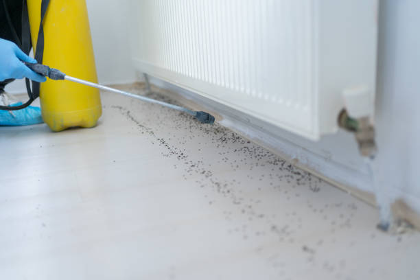 Pest Control for Restaurants in Greene, RI