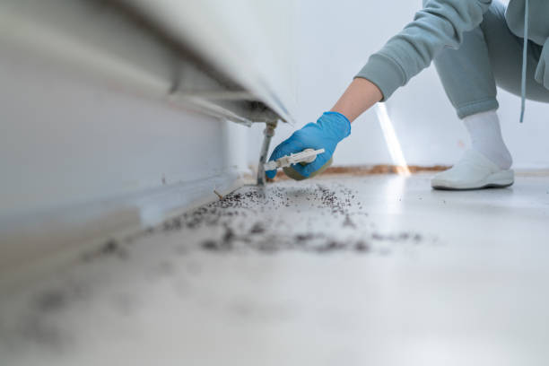 Best Commercial Pest Control Services  in Greene, RI